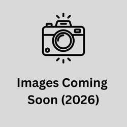 Agastache 'Kudos® Mandarin'